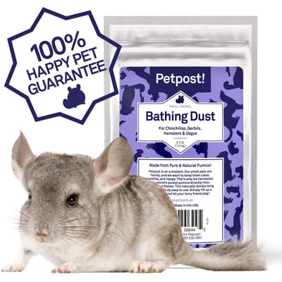 sable bain chinchilla