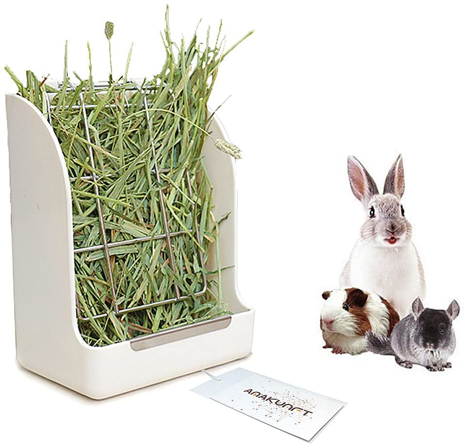 POPETPOP Mangeoire à Foin à Suspendre Pour Lapins Et Petits